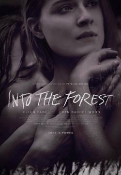 Into the Forest