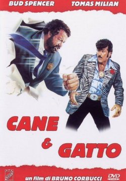 Cane e gatto